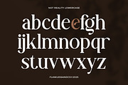 Not Reality - Retro Serif Font, a Serif Font by Flawless And Co (Thumbnail 8 of 10)