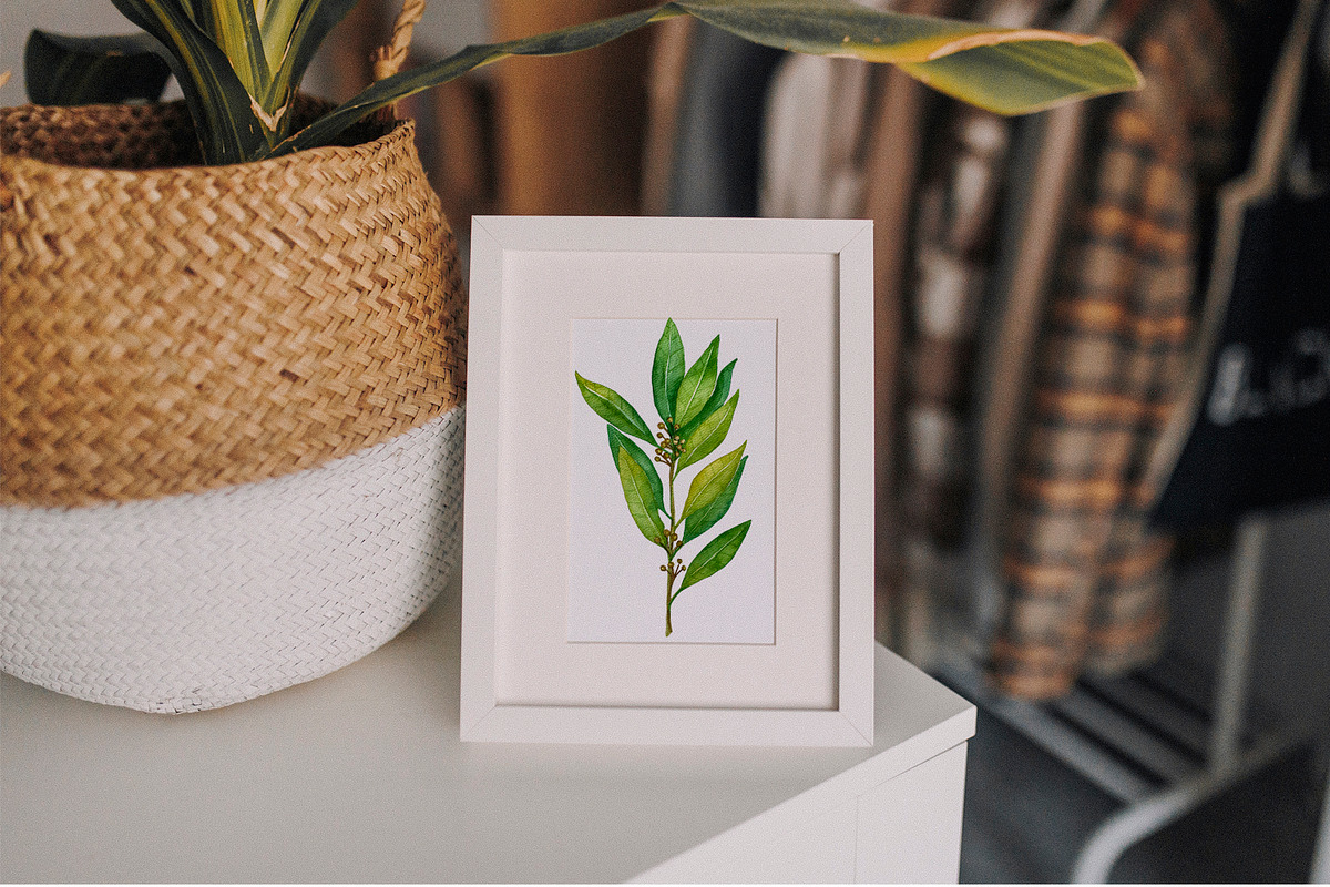 Watercolor everyday green herbs set, a Food Illustration by Fresh art by Larysa (Photo 7 of 7)