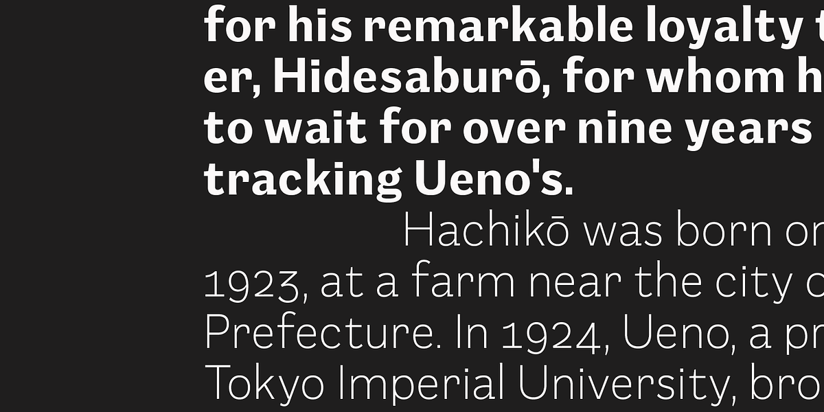Mushin, a Sans Serif Font by Satori (Photo 7 of 15)