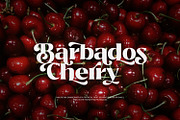 Bitra - Beauty Serif Family, a Serif Font by creativemedialab (Thumbnail 9 of 17)