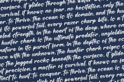 Hunter Shark Bold Calligraphy Font, a Script Font by stylishtype.co (Thumbnail 15 of 20)