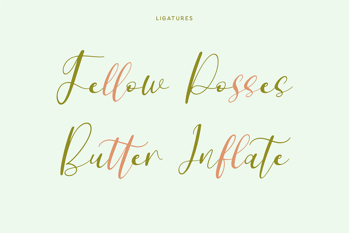Leitucy Script Font, a Handwritten Font by Panatype™ Studio (Photo 6 of 10)