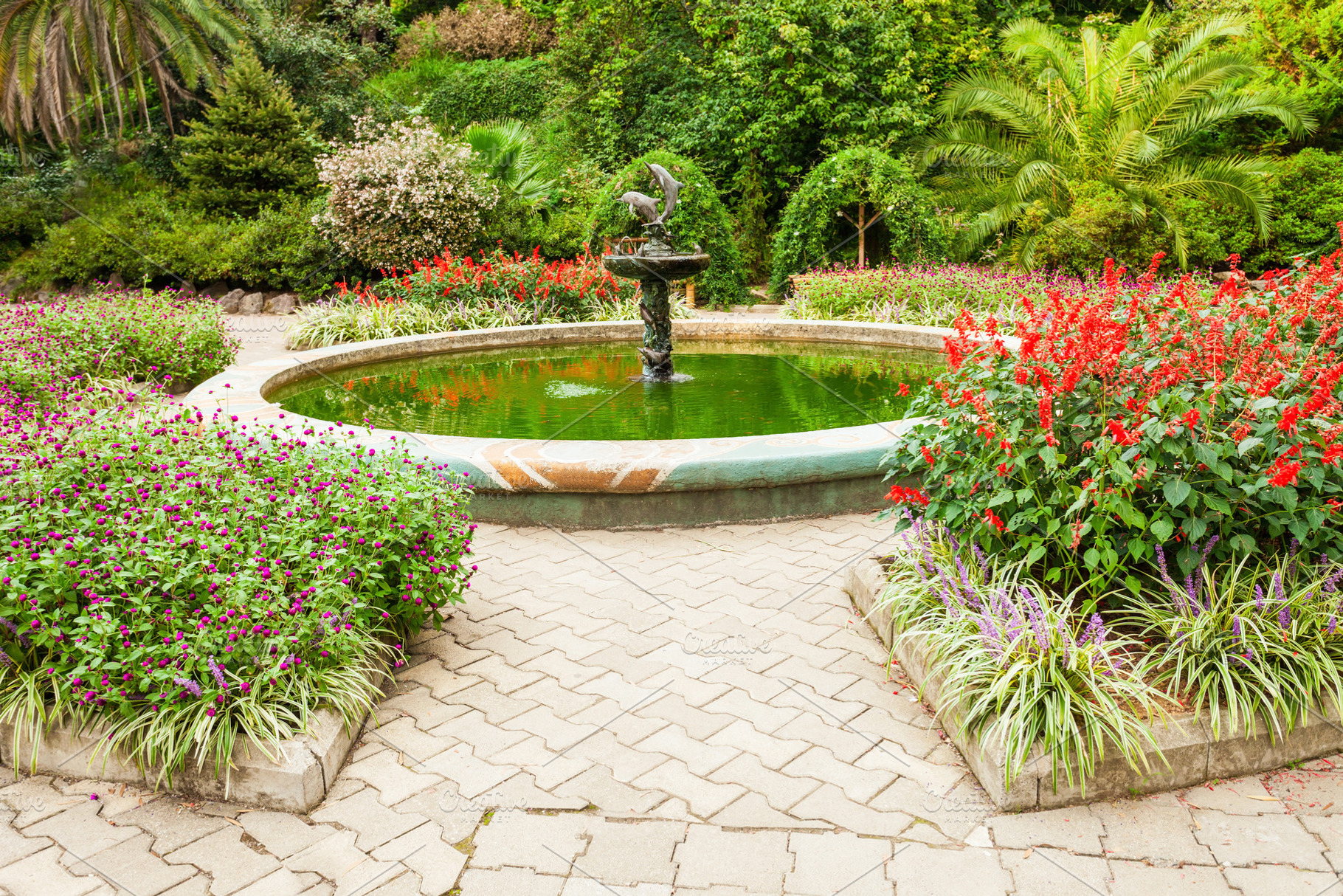 Batumi Botanical Garden, a Photo by saiko3p