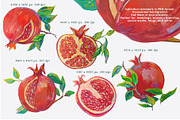 Lemons, Pomegranates elements, frame, an Object Graphic by Alena Lazareva (Thumbnail 4 of 10)
