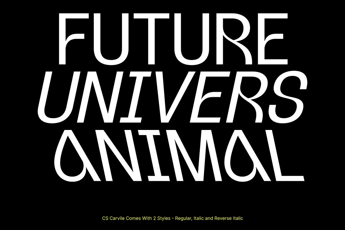 CS Carvile – Sans Serif Typeface, a Sans Serif Font by Craft Supply Co. (Photo 2 of 8)