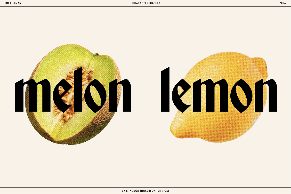 BN Tillman Gothic Display Typeface, a Serif Font by Bnick (Photo 7 of 12)