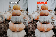 Film Lightroom Presets, an Action Add-On by Lavinsky Art Store (Thumbnail 5 of 6)