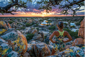In the Kruger national park, a, an Animal Photo by ZinetroN