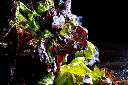 Close up of red lettuce, a Food & Drink Photo by Shootdiem