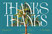 Havens Brooke Editorial Serif, a Serif Font by timelesstype.co (Thumbnail 20 of 20)