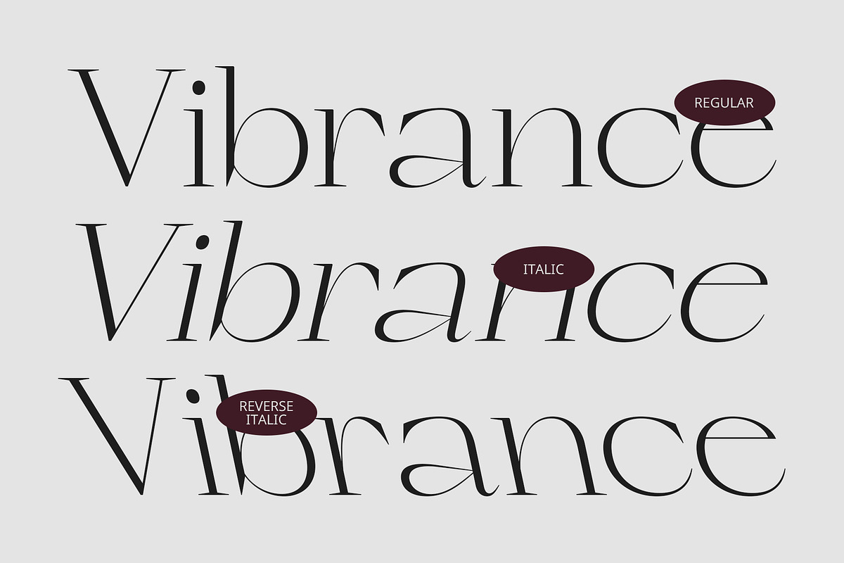 CS Ramsey – Elegant Font, a Serif Font by Craft Supply Co. (Photo 3 of 8)