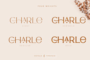 Royale Luxurious Typeface + LOGOS, a Serif Font by Creative Corner (Thumbnail 22 of 28)