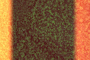 The Forest - 25 Gradients, a Gradient Add-On by Gromov Design (Thumbnail 3 of 5)