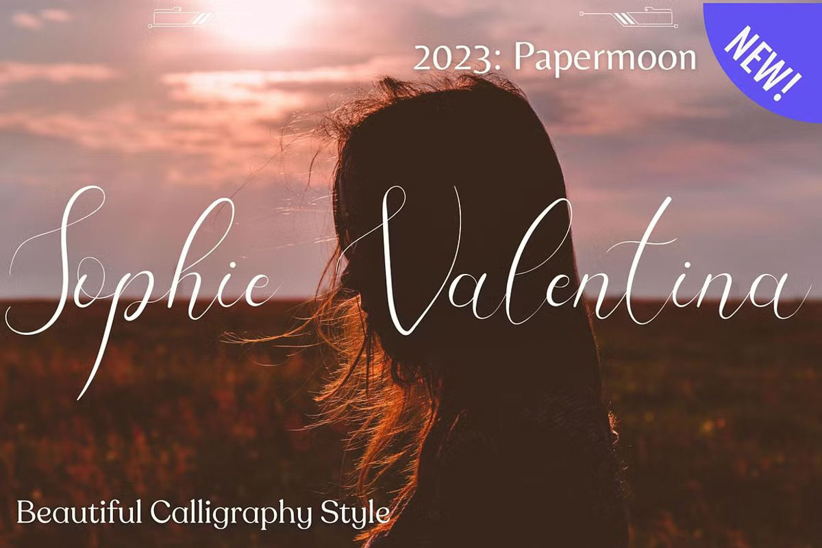 Sophie Valentina: Signature Font, a Handwritten Font by GearShift (Photo 1 of 4)