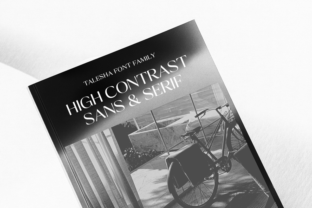 Talesha Font Family, a Serif Font by Seniors (Photo 9 of 30)
