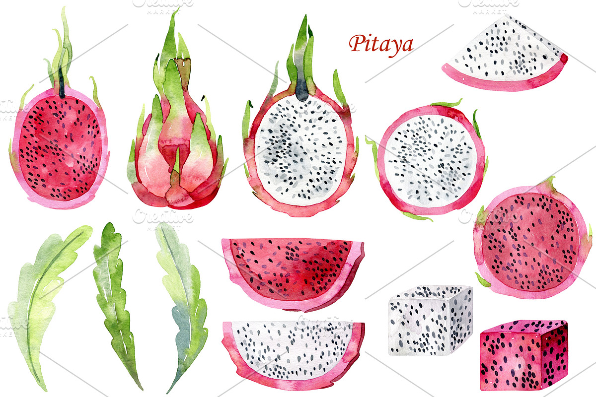 Watercolor tropical fruits., an Illustration by TaPilipa (Photo 2 of 39)