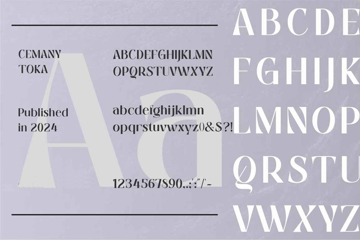 Cemany Toka, a Serif Font by studiobasic (Photo 6 of 9)