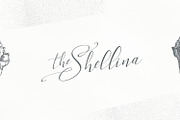 Milova | Modern Calligraphy font, a Script Font by creativemedialab (Thumbnail 4 of 7)