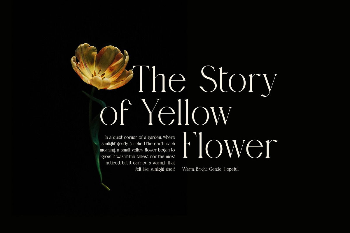 Cingire Elegant Serif Font, a Serif Font by Graphicxell (Photo 2 of 8)