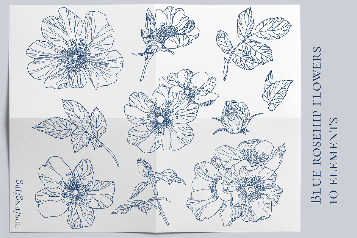 Blue rosehip flowers, a Decorative Illustration by LanaDzi (Photo 9 of 12)