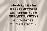 Kongo Elegant Serif Font, a Serif Font by Elegant Font (Thumbnail 7 of 8)