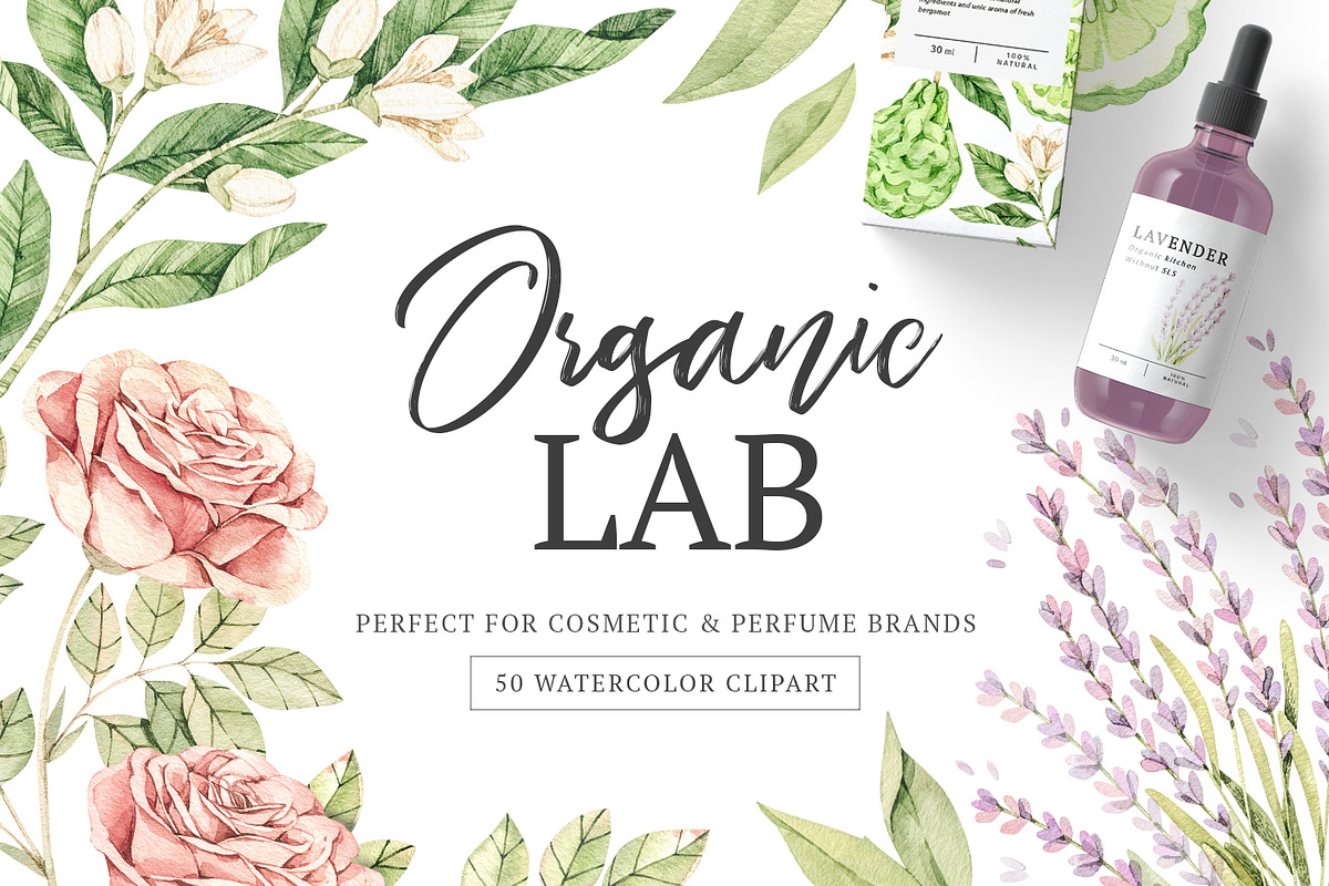 Organic LAB. Watercolor kit, a Decorative Illustration by Kate Macate (Photo 1 of 9)