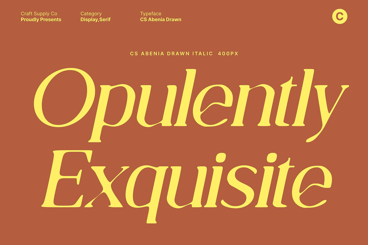 CS Abenia Drawn, a Serif Font by Craft Supply Co. (Photo 3 of 8)
