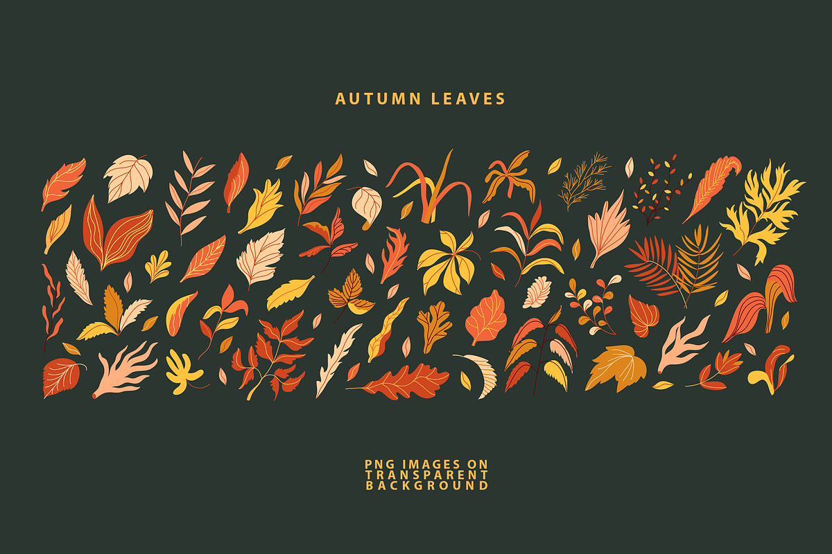Autumn Leaves Hand Drawn Collection, an Object Graphic by Anny (Photo 3 of 19)