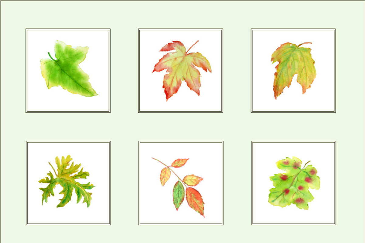 Watercolor Leaves Clipart preview 2