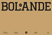 CS Bolande – Slab Serif Font, a Slab Serif Font by Craft Supply Co. (Thumbnail 1 of 8)
