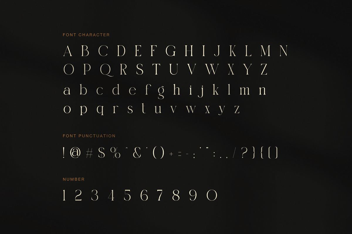 Camela Elegant Serif Font, a Serif Font by Graphicxell (Photo 7 of 8)