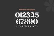 Emirates - Beautiful Curved Font, a Serif Font by Sensatype (Thumbnail 23 of 25)