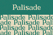 Calliope - Serif Font, a Serif Font by Alpaprana (Thumbnail 3 of 10)