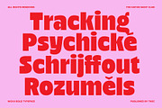 Nicka - Bold Display Sans, a Sans Serif Font by The Native Saint Club (Thumbnail 8 of 16)