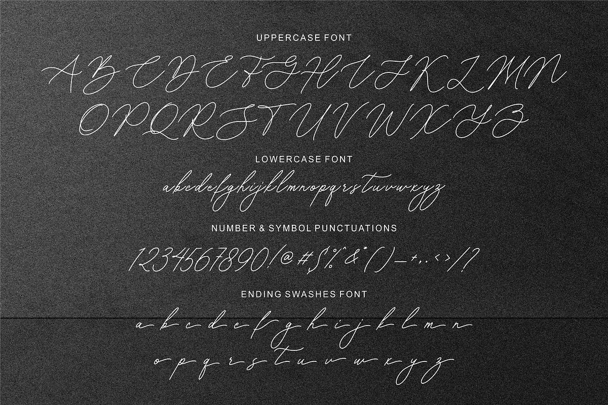 Blaisflur Radiante, a Script Font by Shopifont.co (Photo 12 of 13)