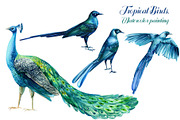 Tropical Birds, Watercolor painting, an Animal Illustration by Hanna Hryharenka (Thumbnail 2 of 13)