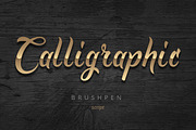 Golden Brush font, a Script Font by Gleb Guralnyk (Thumbnail 3 of 4)