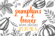 Pumpkins and Leaves Set, an Illustration by Tabiti (Thumbnail 1 of 14)