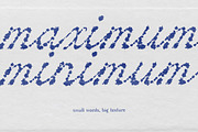 Blot Sound - Messy Ink Script Font, a Script Font by AnMark (Thumbnail 4 of 11)