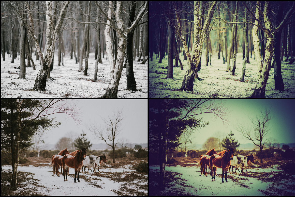 7000+ Professional Lightroom Presets, a Layer Style Add-On by Eldamar Studio (Photo 10 of 33)