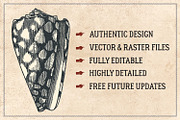 87% OFF Vintage Bundle - Free Update, an Animal Illustration by Brigantine Designs (Thumbnail 2 of 21)