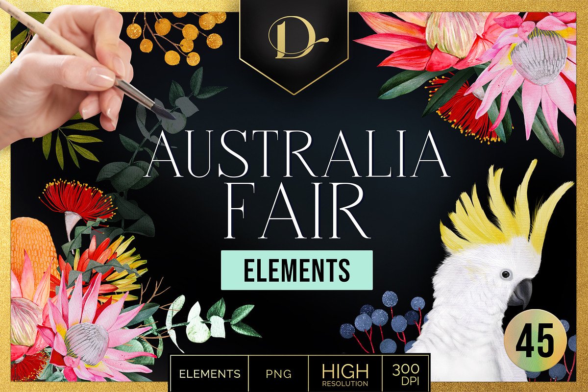 AUSTRALIA FAIR Elements, a Decorative Illustration by Dana Designs (Photo 1 of 14)