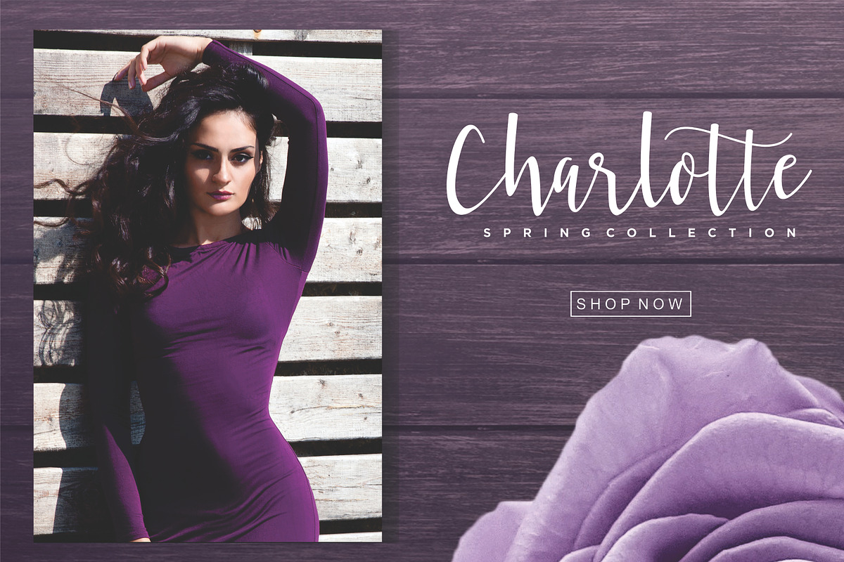 Violette Script Font preview 5