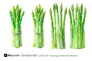 Watercolor Asparagus Clipart, a Food Illustration by crafty (Thumbnail 5 of 5)
