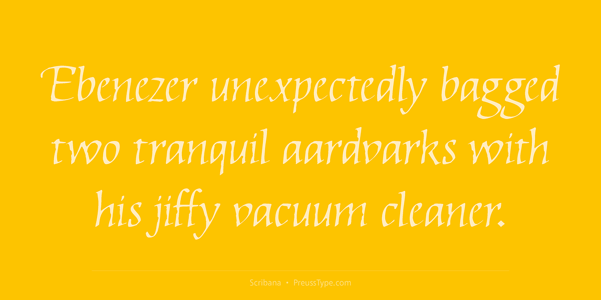 Scribana, a Script Font by preussTYPE (Photo 3 of 8)