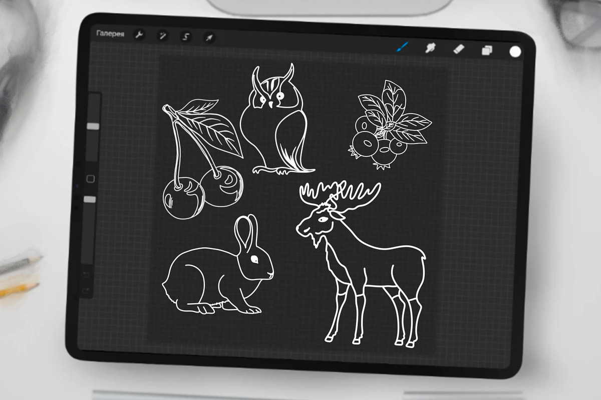 Woodland Animals Digital Stamps, a Graphic by Favorites_Art (Photo 2 of 17)