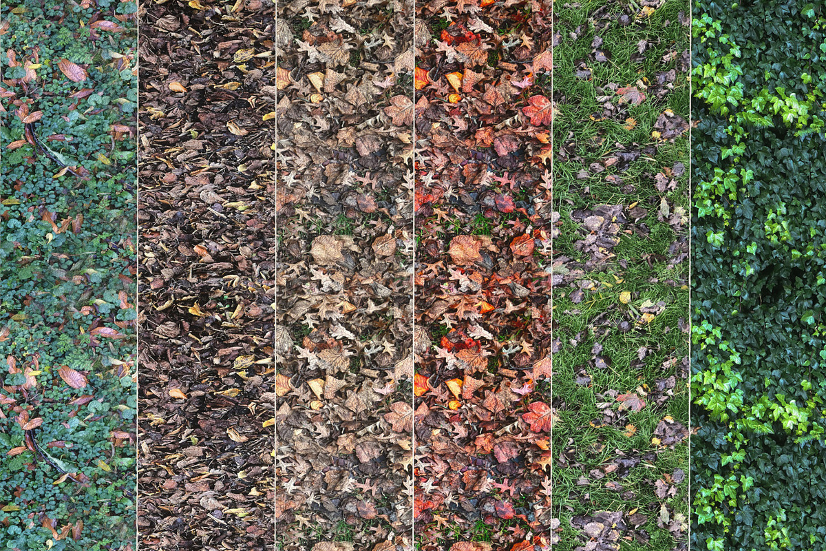 6 Seamless Leaf Material Textures, a Textures & Material 3D Model by 3DTreatment (Photo 10 of 11)