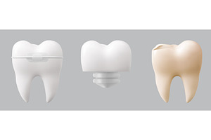 Realistic tooth collection, an Object Illustration by art PVP - market