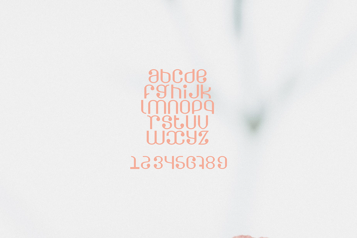 Olos font for logo preview 2