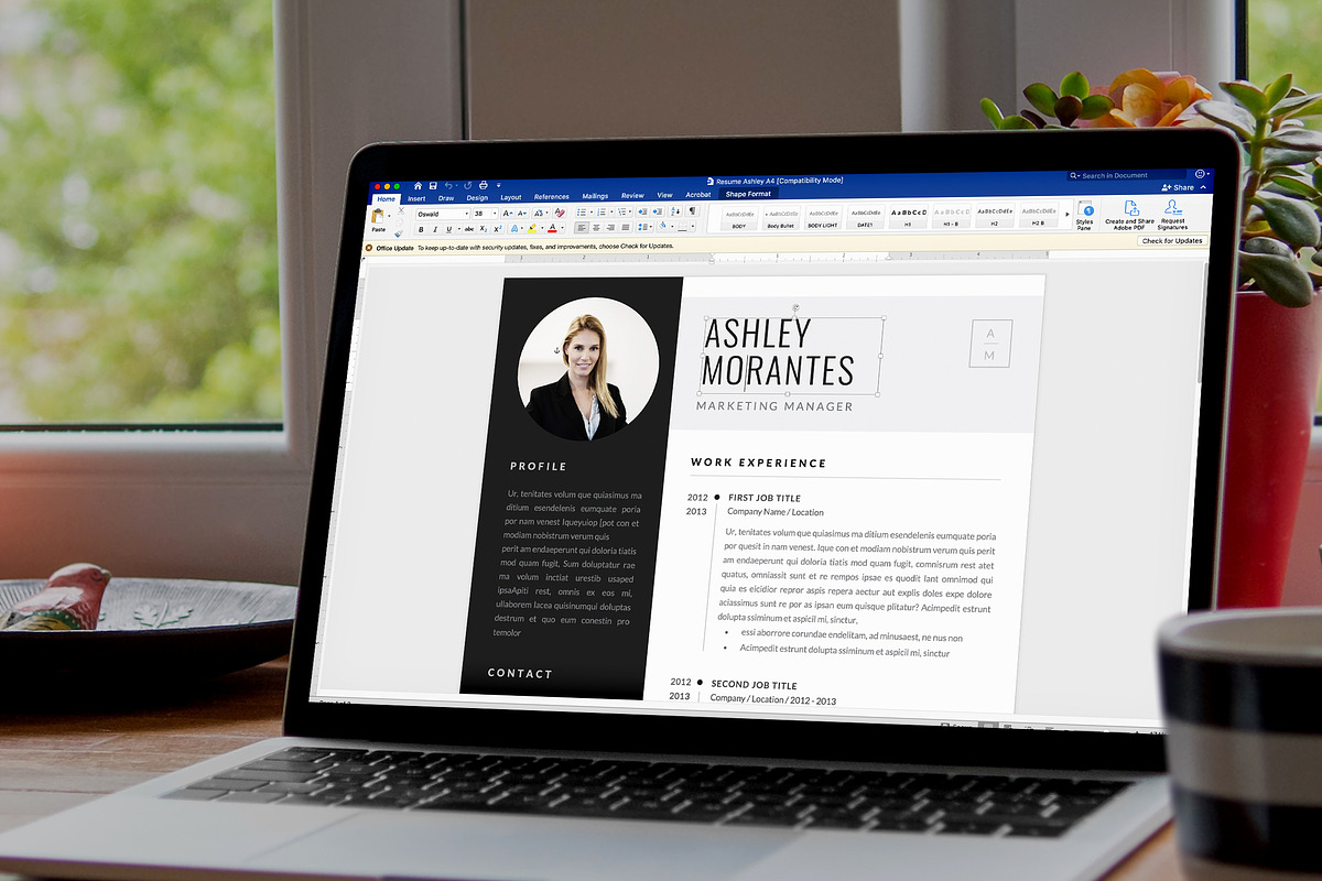 Resume Template Ashley, a Resume Template by Estartshop (Photo 6 of 7)